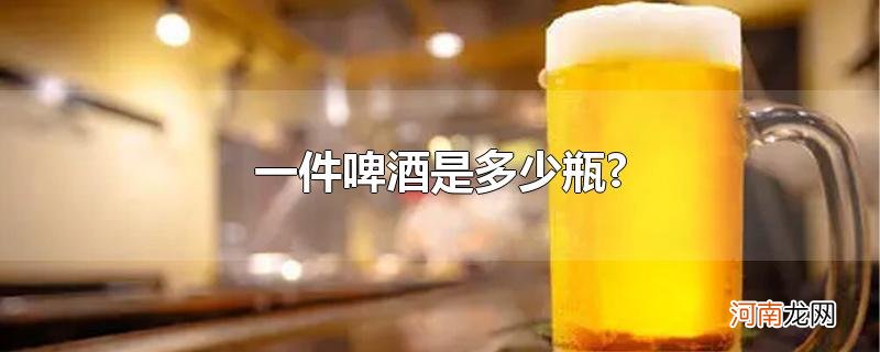 一件啤酒是多少瓶?