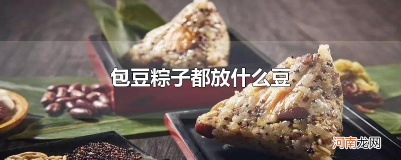 包豆粽子都放什么豆