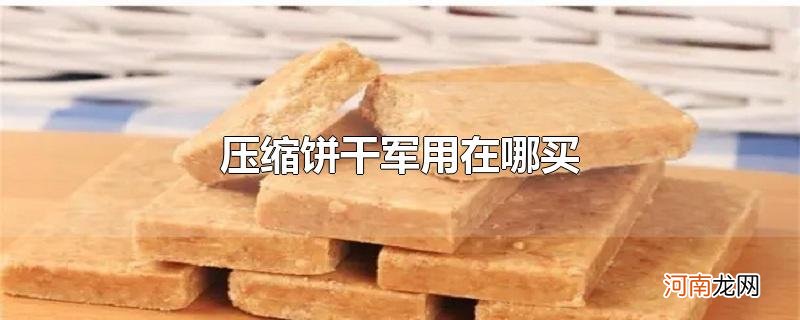 压缩饼干军用在哪买