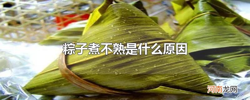 粽子煮不熟是什么原因