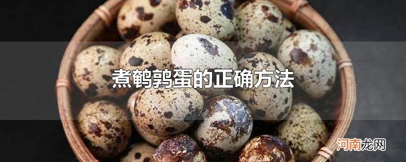 煮鹌鹑蛋的正确方法