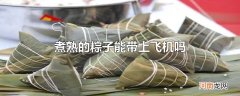 煮熟的粽子能带上飞机吗