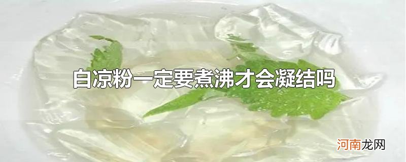 白凉粉一定要煮沸才会凝结吗