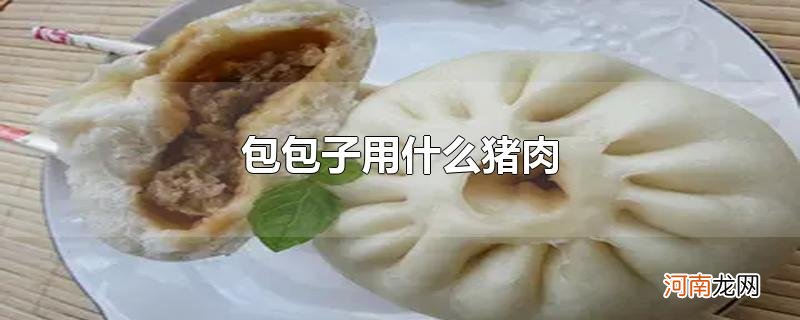 包包子用什么猪肉