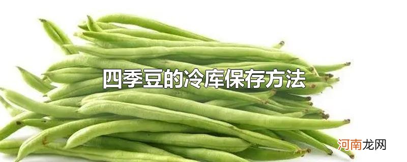 四季豆的冷库保存方法