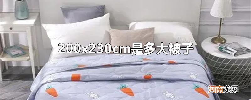 200x230cm是多大被子