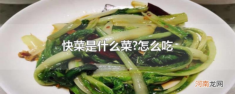 快菜是什么菜?怎么吃