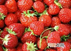 梦见草莓意味着什么 梦见摘草莓是什么预兆