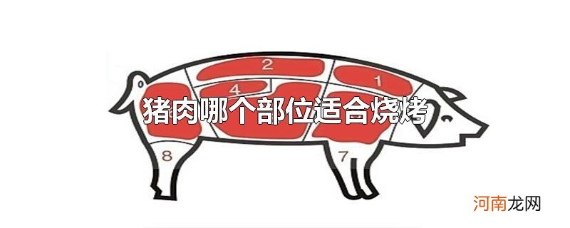 猪肉哪个部位适合烧烤