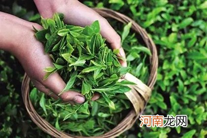 茶叶店起名字 给茶叶店起什么名字好