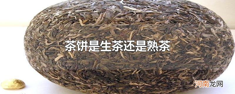 茶饼是生茶还是熟茶