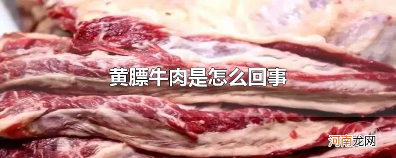 黄膘牛肉是怎么回事