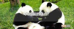 大熊猫的特点?