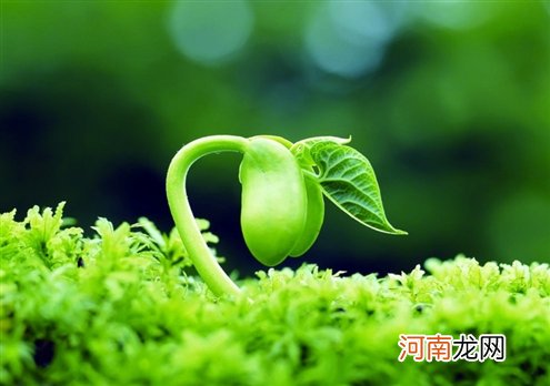 春节全攻略 让宝宝快乐过节