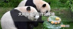大熊猫生活在什么环境