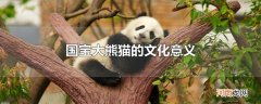 国宝大熊猫的文化意义