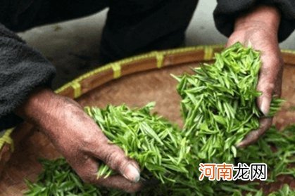 茶叶店铺如何取名 卖茶叶取什么店名字好