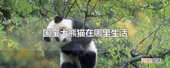 国宝大熊猫在哪里生活
