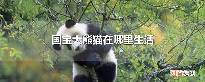 国宝大熊猫在哪里生活