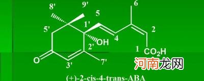 脱落酸的作用高中生物优质