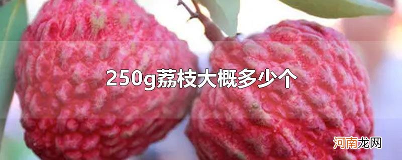 250g荔枝大概多少个