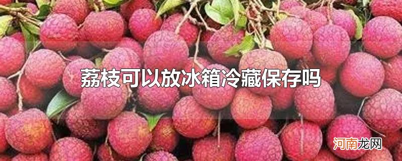 荔枝可以放冰箱冷藏保存吗