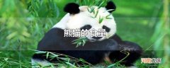 熊猫的食量