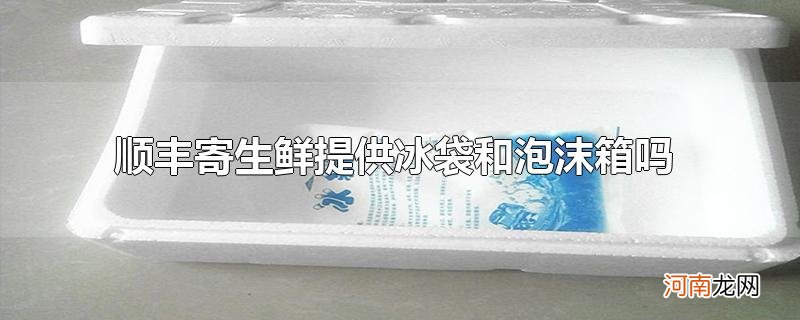 顺丰寄生鲜提供冰袋和泡沫箱吗