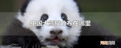 中国大熊猫分布在哪里