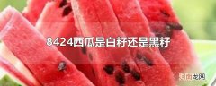 8424西瓜是白籽还是黑籽