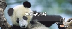 大熊猫吃铁吗
