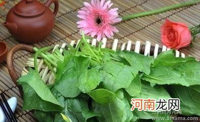 千张菠菜