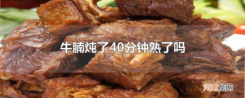 牛腩炖了40分钟熟了吗