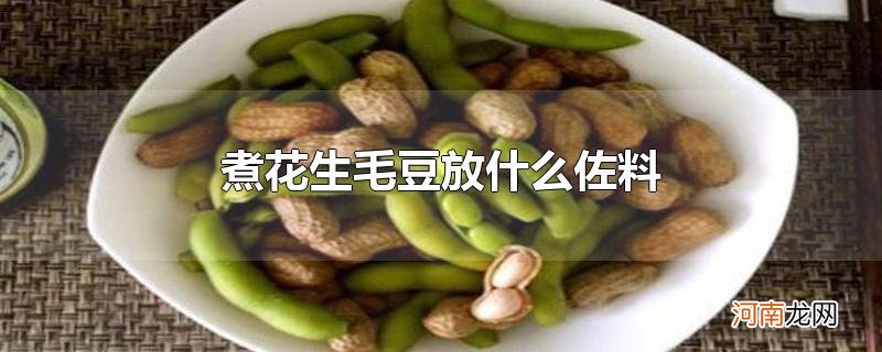 煮花生毛豆放什么佐料