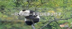 一只大熊猫一天可以吃多少竹子