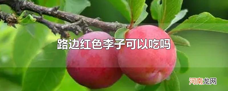 路边红色李子可以吃吗