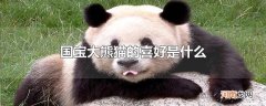 国宝大熊猫的喜好是什么