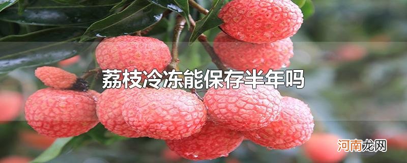 荔枝冷冻能保存半年吗