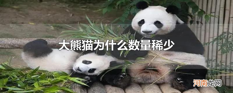 大熊猫为什么数量稀少