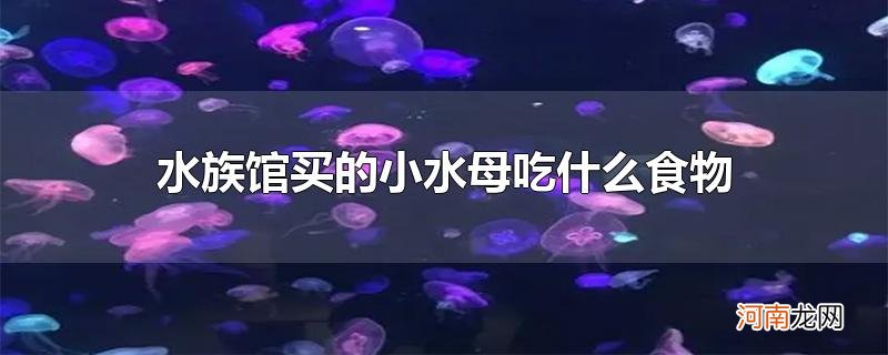 水族馆买的小水母吃什么食物