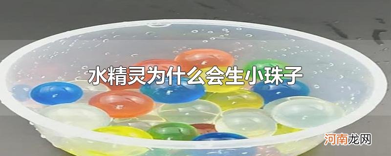 水精灵为什么会生小珠子