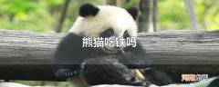 熊猫吃铁吗