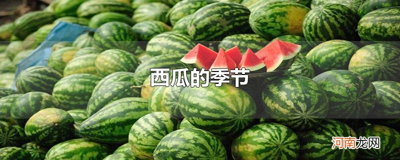 西瓜的季节