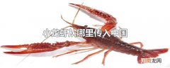 小龙虾从哪里传入中国