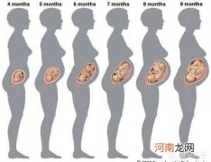 怀孕5个月肚子有这么大 怀孕5个月胎儿有多大
