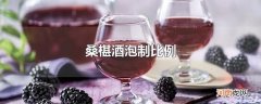 桑椹酒泡制比例