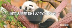 国宝大熊猫有什么特点和本领