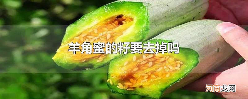 羊角蜜的籽要去掉吗