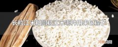 长粒江米和圆粒江米哪种用来包粽子