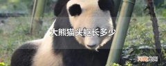 大熊猫头躯长多少